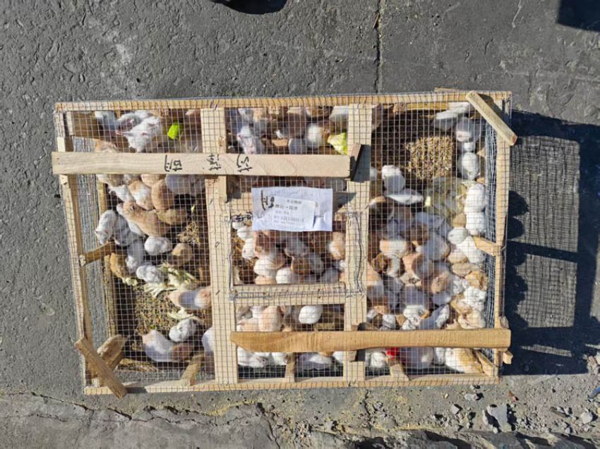 點(diǎn)擊查看詳細(xì)信息<br>標(biāo)題：發(fā)貨現(xiàn)場(chǎng) 閱讀次數(shù)：0